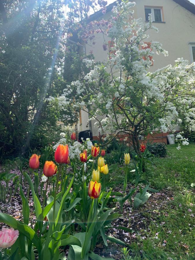 Apartament Blumenblick Rielasingen-Worblingen Exterior photo