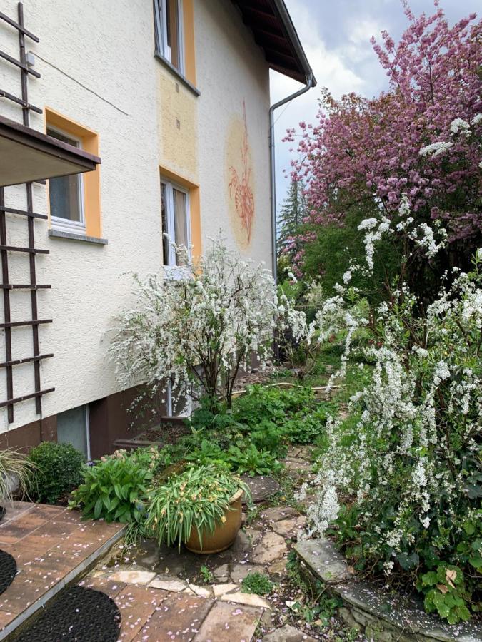 Apartament Blumenblick Rielasingen-Worblingen Exterior photo